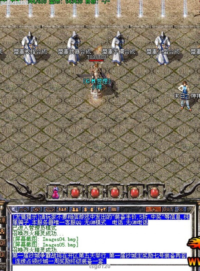 探索新开网通传奇私服：游戏魅力与玩家体验解析